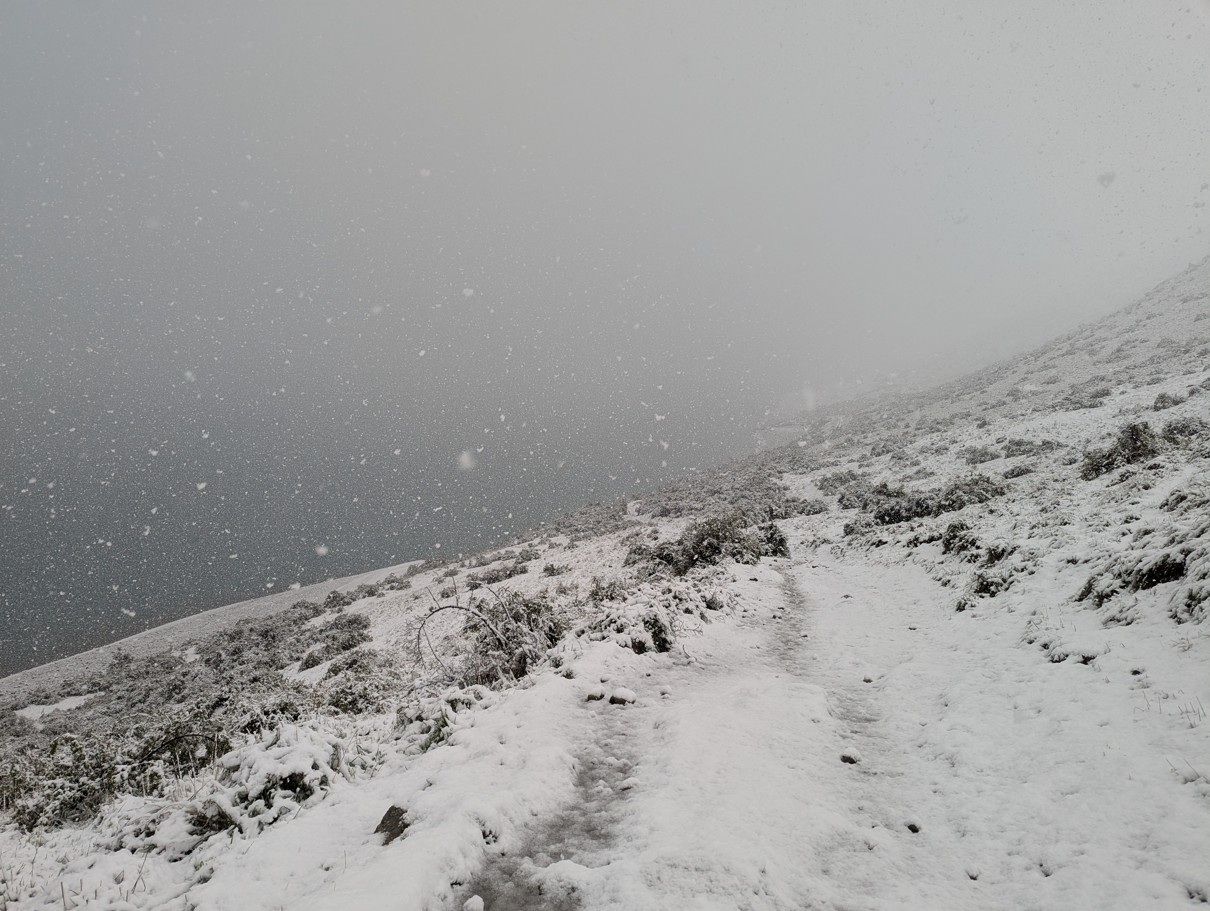 image from Mount John in the snow - Tepako